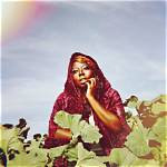 Uncover the Multifaceted Artistry of Shana Sessions Mayfield