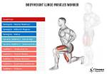 Uncover the Muscle Groups Targeted by Lunges: a Comprehensive Guide