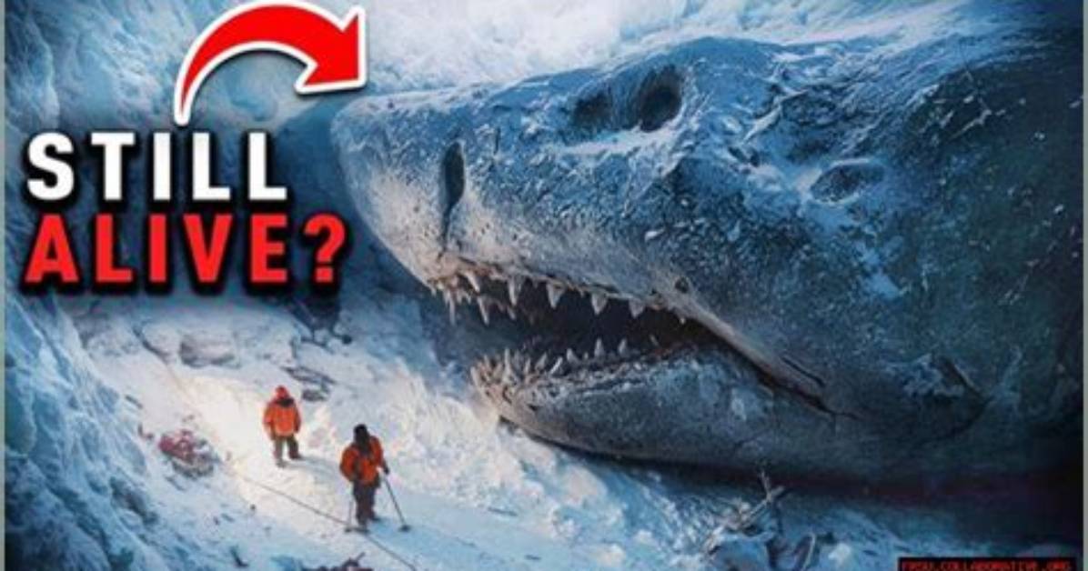 Uncover the Truth: Nasa's Frozen Megalodon Revelation