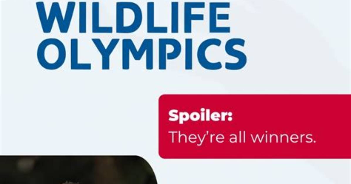 Uncover the Wonders: Our Exceptional Wildlife Cast