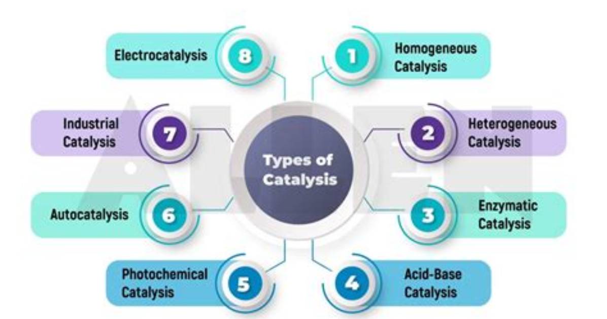Uncovering the Essential Role of Catalysts in Our Everyday Lives