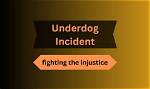 Uncovering the Secrets of the "Underdog Incident 2022"