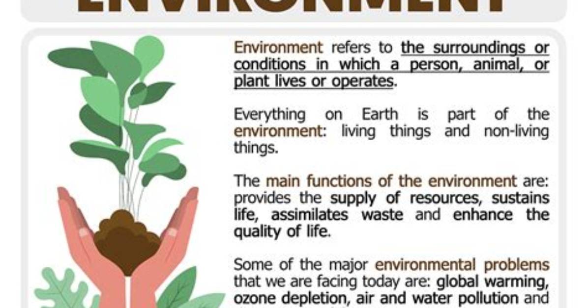 Uncovering the Secrets of Ultramarathons and Environmentalism