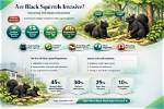Uncovering Their World and Impact
