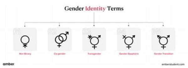 Understanding Brittney Griner: Gender Identity and Birth Facts