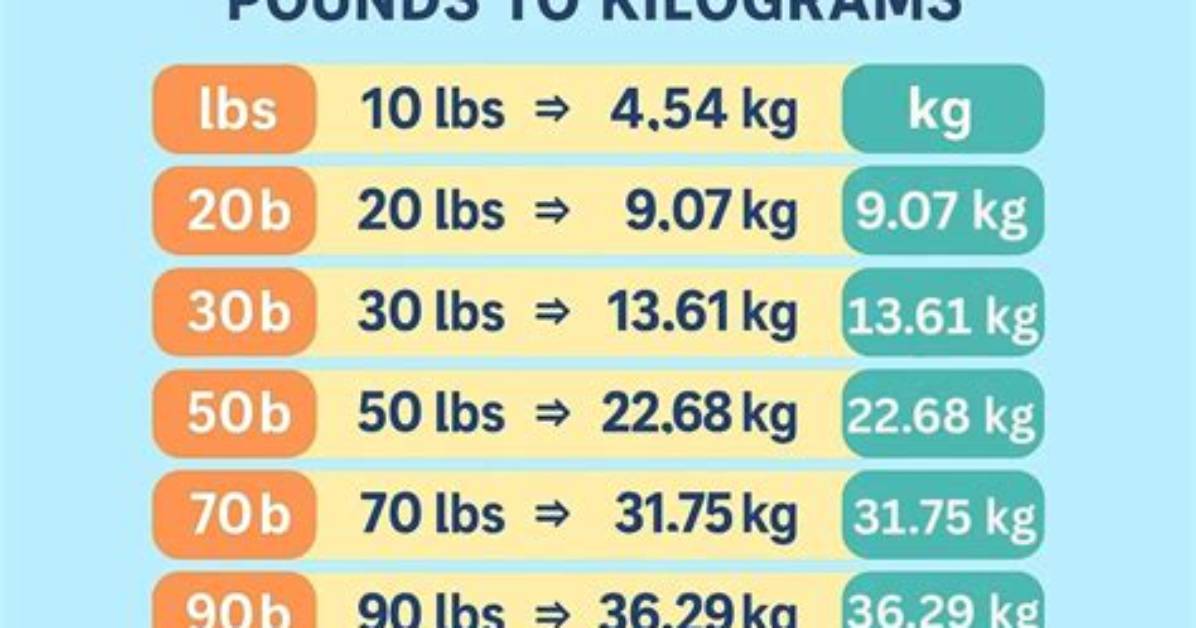 Understanding the Conversion: 18.6 Lbs to Kg
