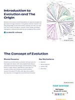 Understanding the Origin and Evolution of the Bear Meme Phenomenon