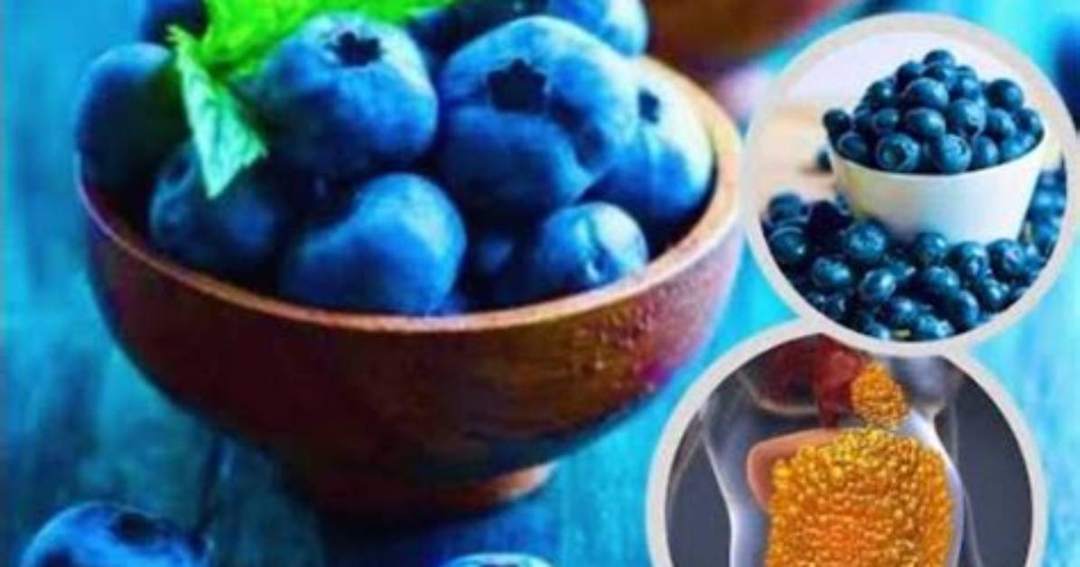 Understanding the Relationship Between Blueberries and Heartburn