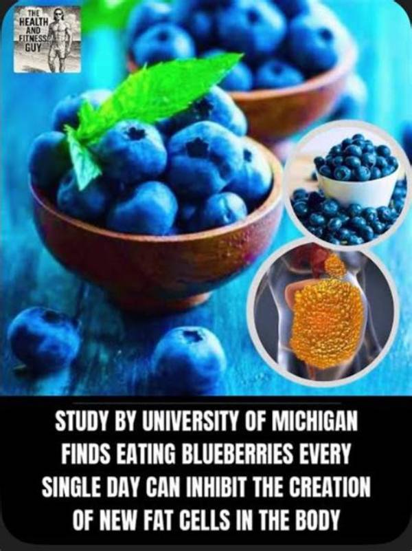 Understanding the Relationship Between Blueberries and Heartburn