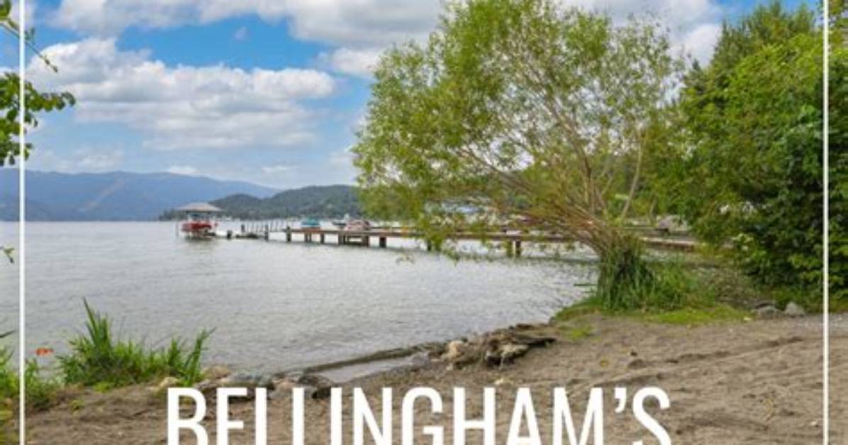 Unlock Bellingham's Hidden Gems with Skipthegames