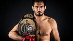 Unlock Gegard Mousasi's Financial Secrets: a Journey to Wealth