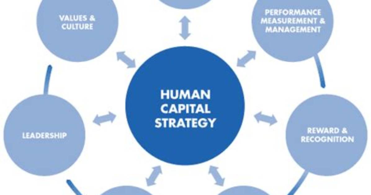 Unlock the Secrets of Human Capital Management with Joy Mcmaniga