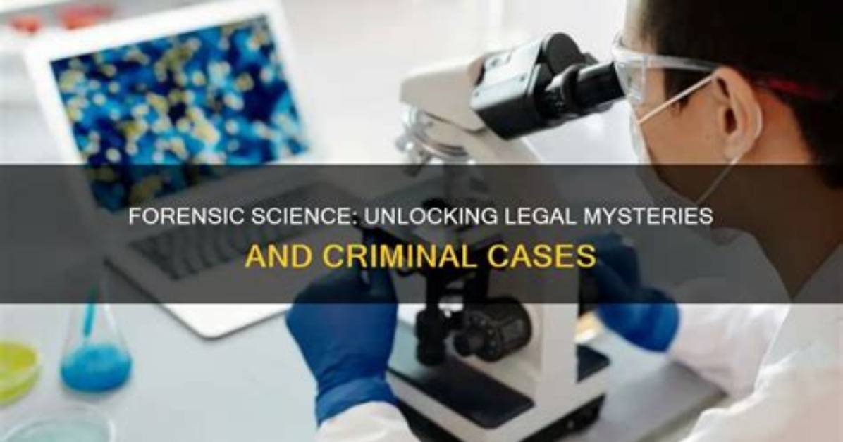 Unlocking the Mysteries of the Legal System