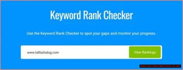 Unlocking the Power of Google Api Keyword Tracking