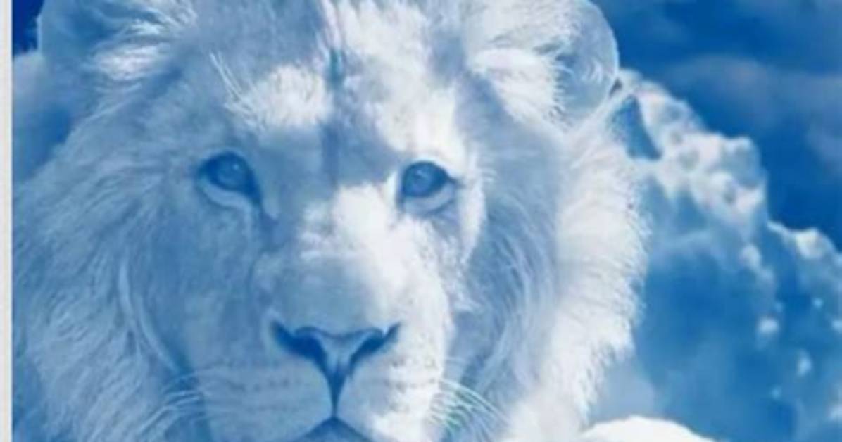 Unraveling Falsehoods with Surprising Truths
