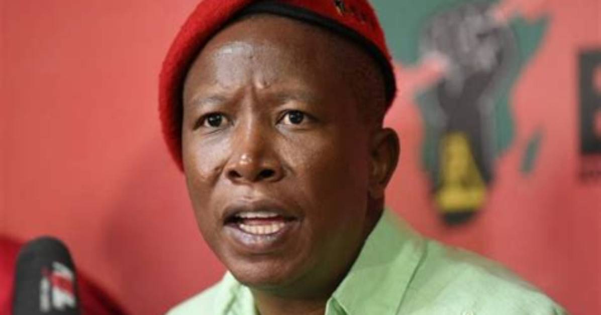 Unraveling Julius Malema's Marital History: Exploring His Wives
