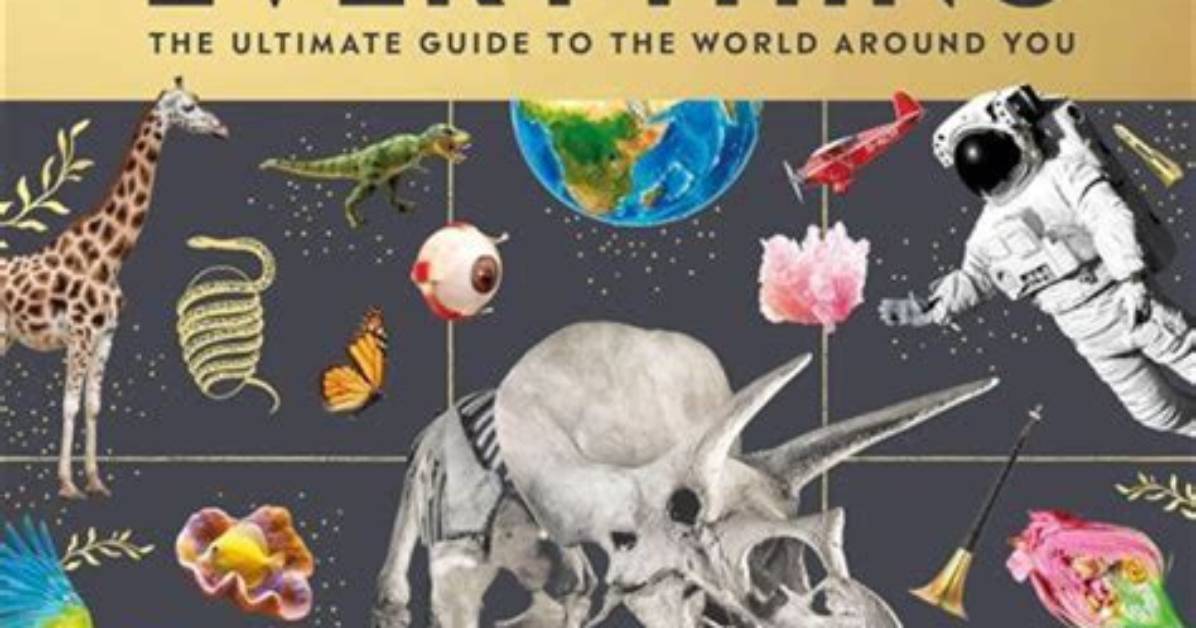 Unraveling the Buzz: the Fascinating World of Beeveekee Tiktok