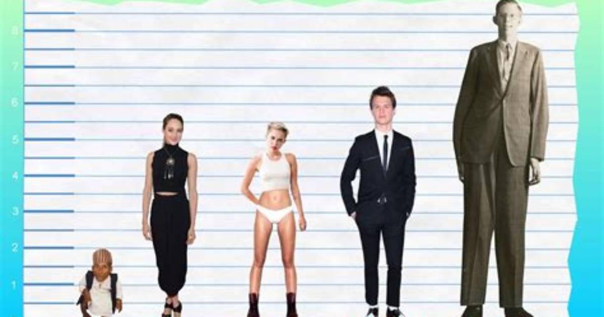 Unraveling the Enigma of Shailene Woodley Height