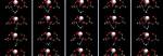 Unraveling the Intriguing Dynamics of a Complex Relationship