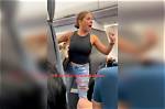 Unraveling the Latest on the Plane Lady Update