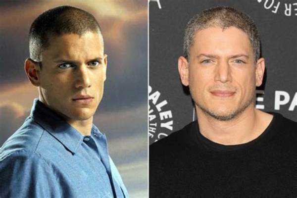 Unraveling the Mysteries of Wentworth Miller's Partner