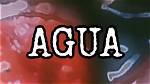 Unraveling the Mystery Behind the Quiero Agua Gore Video