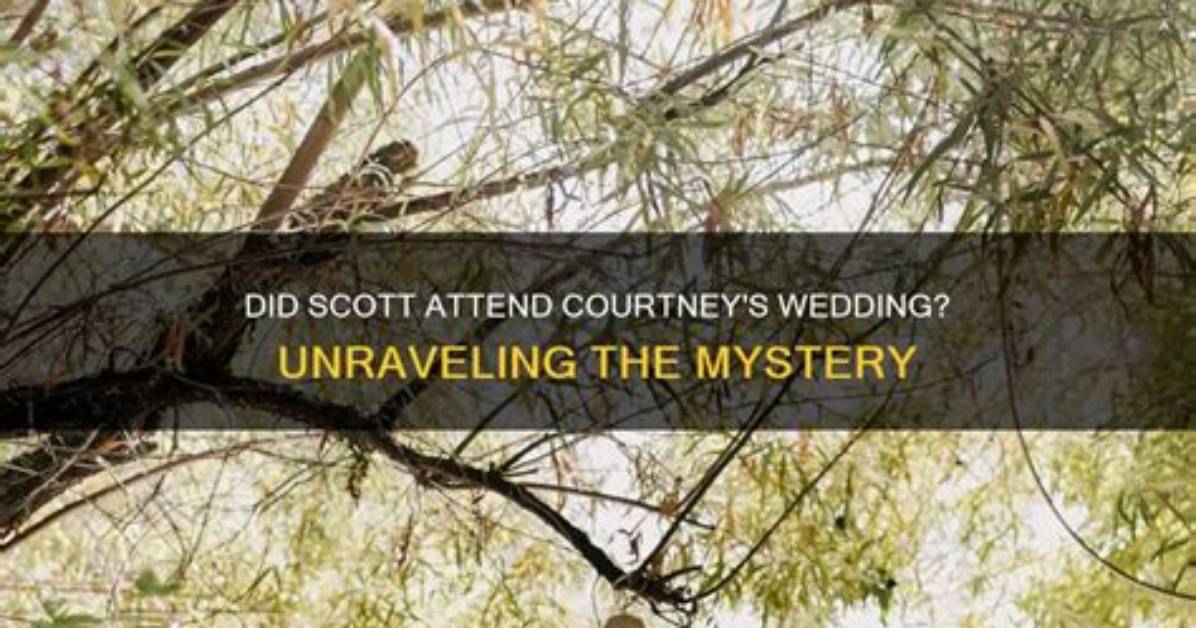 Unraveling the Mystery: How Did Chopper Brad Die?