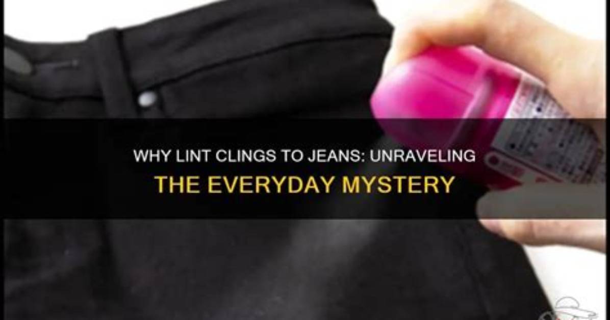 Unraveling the Mystery of "You Lint Licker": a Quirky Exploration