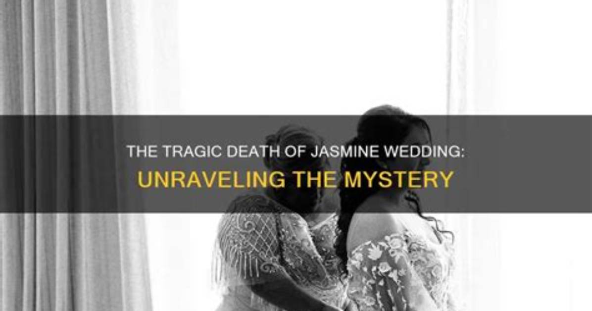 Unraveling the Mystery: Who Is Jasmine Guy Married to?