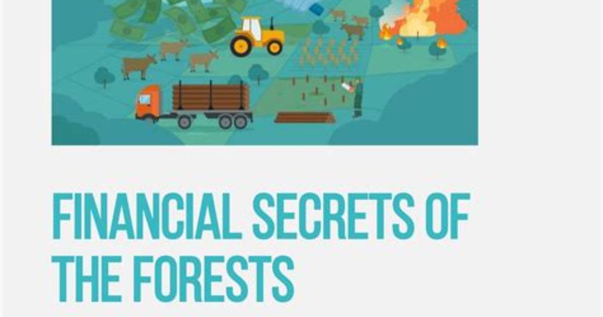 Unveil the Secrets of Brazil's Financial Powerhouse: Fbb