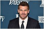 Unveiling David Boreanaz's Paternity: Discoveries and Insights Await