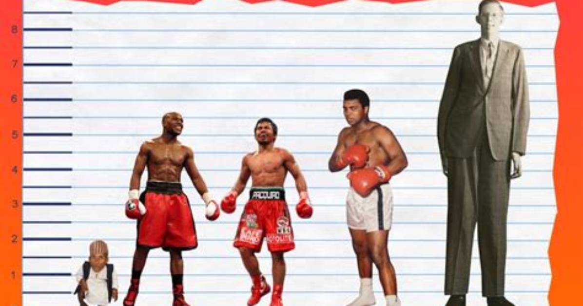 Unveiling Floyd Mayweather's Real Height: the Truth Behind the Boxing Legend