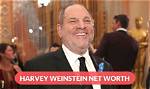 Unveiling Harvey Weinstein's Net Worth in 2024: Shocking Revelations