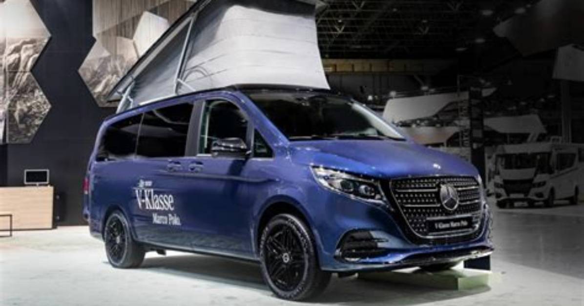 Unveiling Mercedes from the Bachelor: Insights and Revelations
