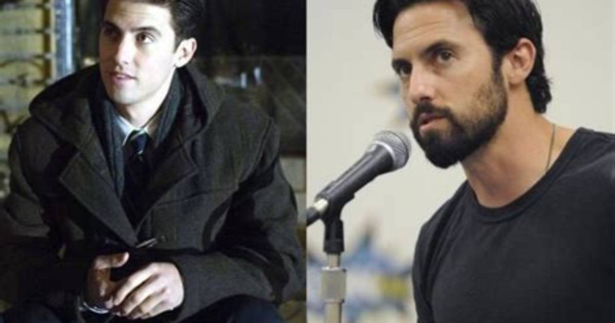 Unveiling Seargeoh Stallone: a Journey of Resilience, Advocacy, and Achievements