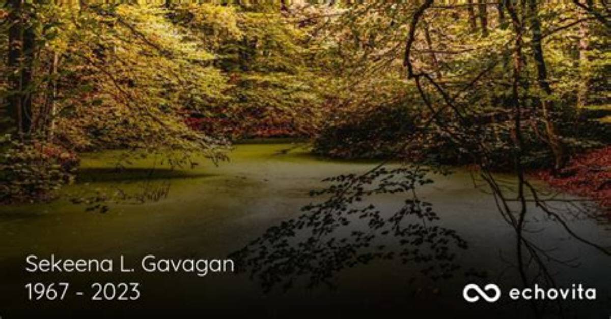 Unveiling Sekeena Gavagan's Enduring Legacy: Discoveries and Insights