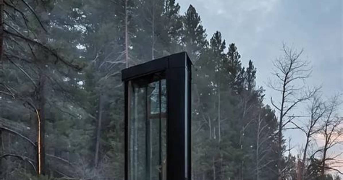 Unveiling the Allure of "In the Cabin Yaoi": a Journey into Escapism,