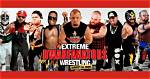 Unveiling the Captivating World of Extreme Dwarfanators Wrestling