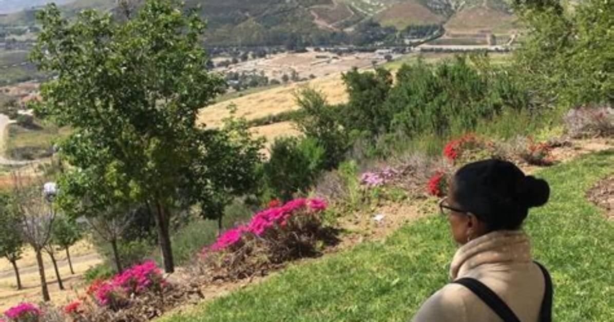 Unveiling the Enchanting World of Headley Shari: Discoveries and Insights Await