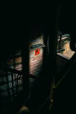 Unveiling the Enigma: a Deep Dive into Anna Sorokin’s Parents