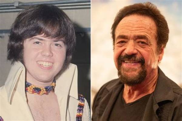 Unveiling the Journey of Jay Osmond: a Multifaceted Talent