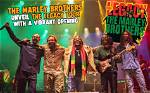 Unveiling the Legacy of Stephen Marley’s Mom: a Journey Through Music and Family