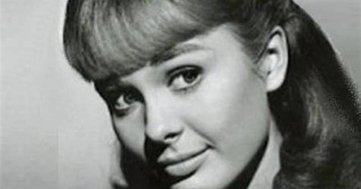 Unveiling the Life and Achievements of Debbie Haas