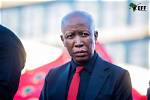 Unveiling the Life of Julius Malema's Wife: a Journey Beyond Politics
