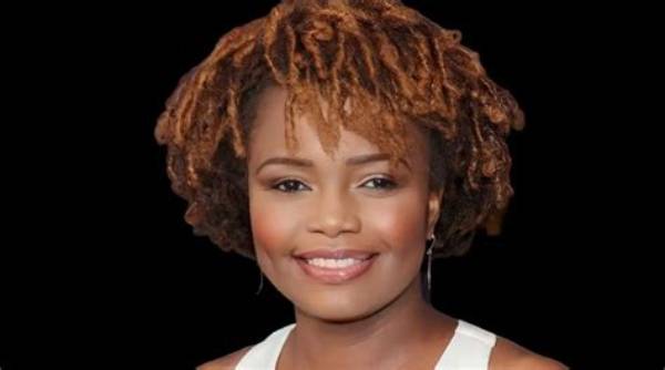 Unveiling the Life of Karine Pierre's Husband