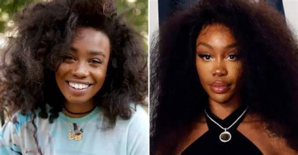 Unveiling the Life of Sza's Little Sister: a Journey of Talent and Inspiration