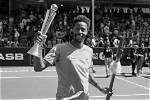 Unveiling the Multifaceted World of Gael Monfils' Sister