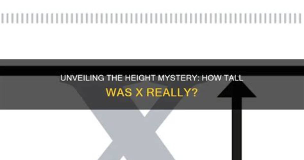 Unveiling the Mystery: How Tall Is Skirby?
