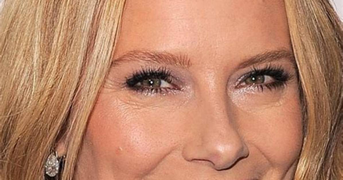 Unveiling the Mystery: Who Is Amy Ryan Married to?