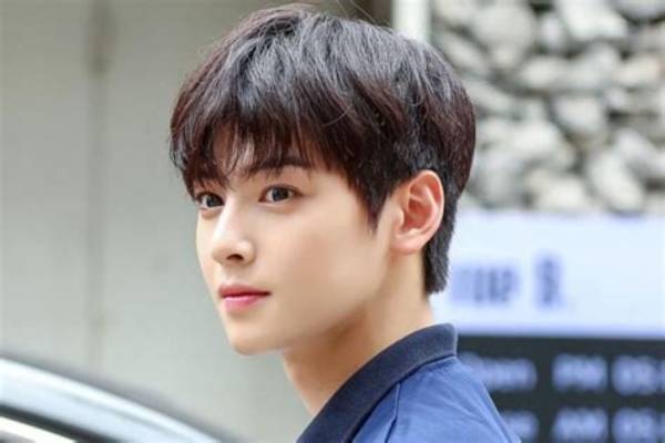 Unveiling the Mystery: Who Is Cha Eun Woo's Girlfriend?